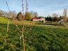Buy Land Thiviers