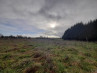 Buy Land Saint-Priest-les-Fougères