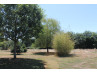 Buy House Chalais