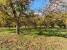 Buy Land Le Buisson-de-Cadouin